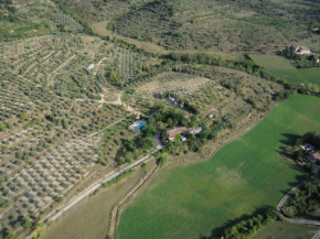 le vieux mas du domaine de Pontet-Fronzele